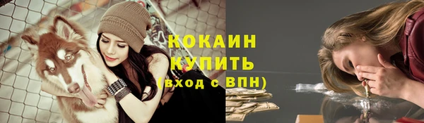мескалин Ладушкин
