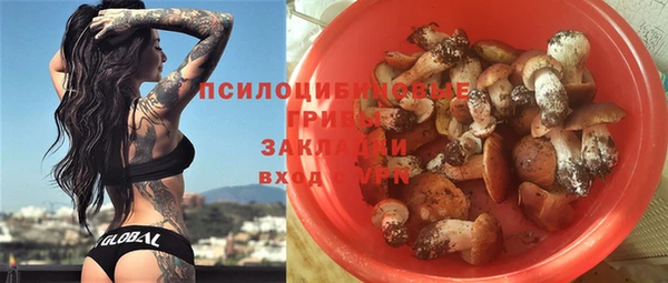 гашик Лагань