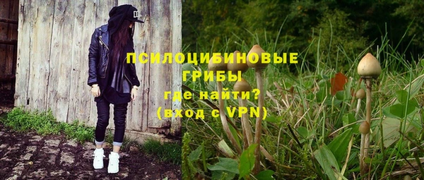 мескалин Ладушкин