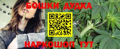 индика Ярославль
