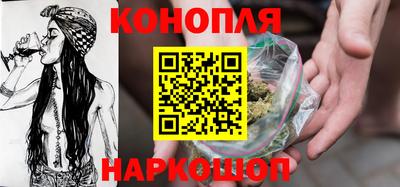 индика Ярославль